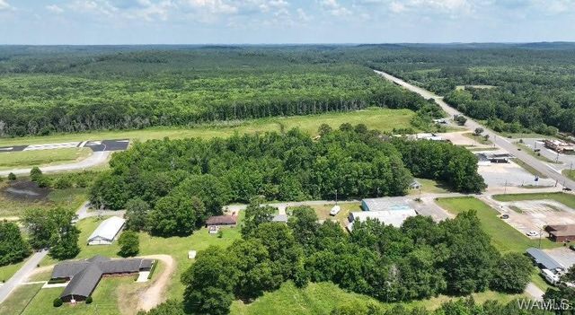 287 6th NE 6, Reform, AL 35481