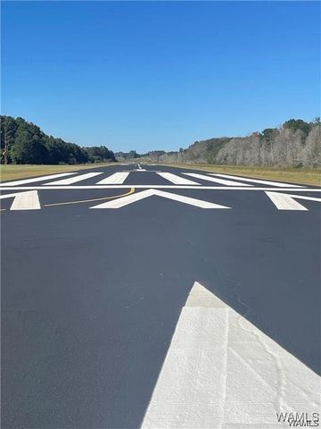 287 6th NE 6, Reform, AL 35481