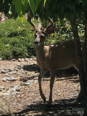 6749 Wintergreen Ct, Santa Rosa, CA 95409