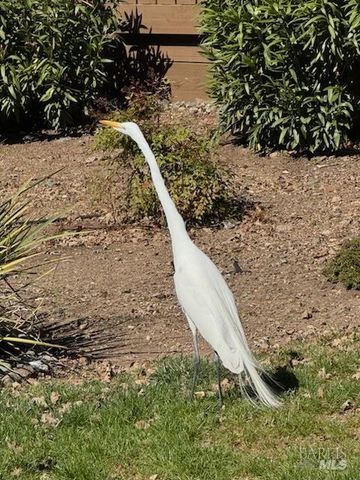 6749 Wintergreen Ct, Santa Rosa, CA 95409