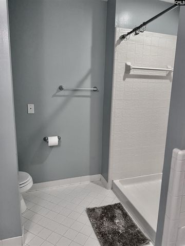 204 Darkwood Court, Lexington, SC 29073