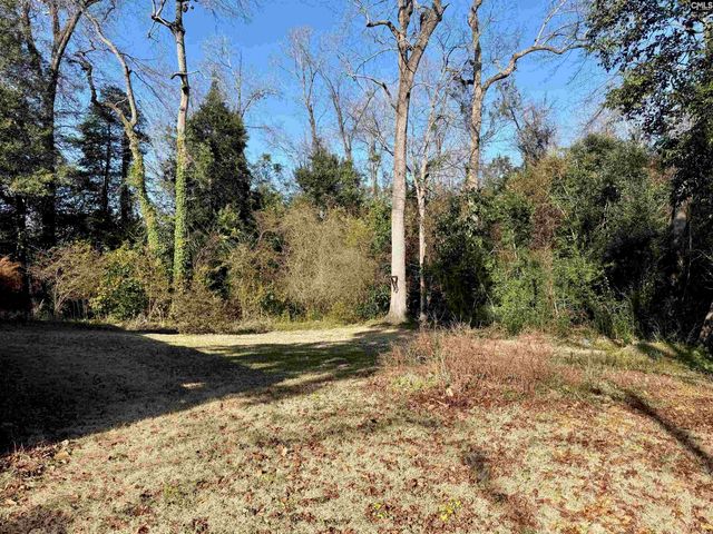 204 Darkwood Court, Lexington, SC 29073