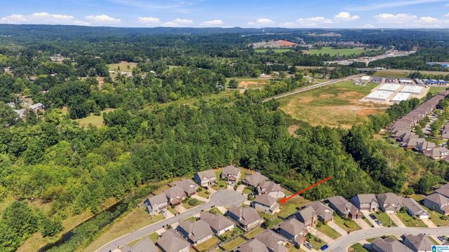 5808 CHESHIRE COVE TRAIL, Mccalla, AL 35111