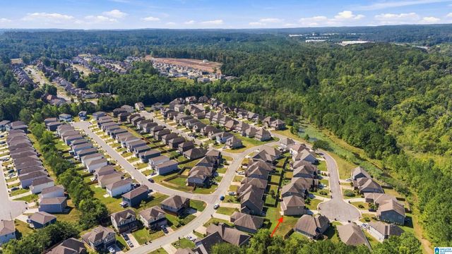 5808 CHESHIRE COVE TRAIL, Mccalla, AL 35111