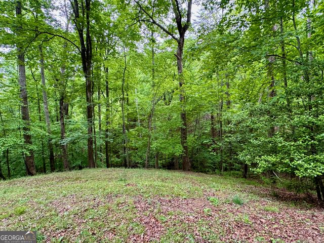 111 Ridgeview Court, Dahlonega, GA 30533