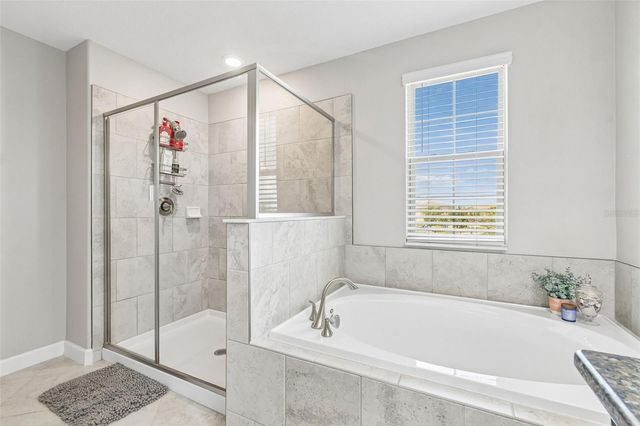 13310 WILDFLOWER MEADOW DRIVE, Riverview, FL 33579