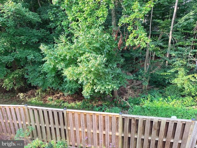 6062 HOLLOW HILL LN, Springfield, VA 22152