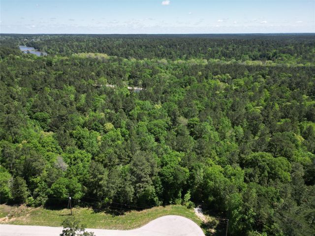 0 Pyrite Court, Huntsville, TX 77340