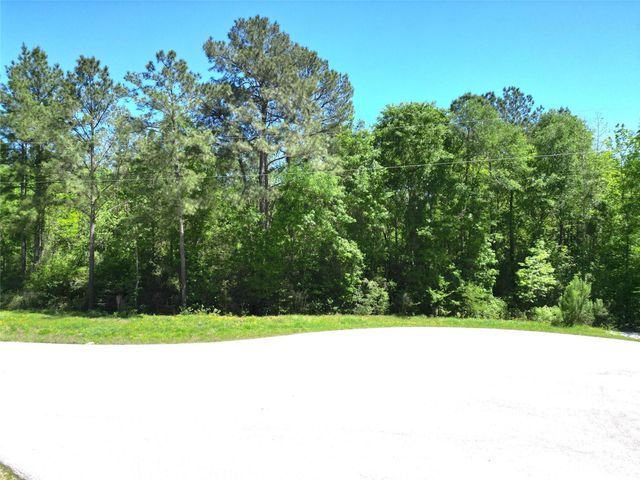 0 Pyrite Court, Huntsville, TX 77340