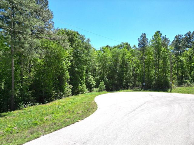 0 Pyrite Court, Huntsville, TX 77340