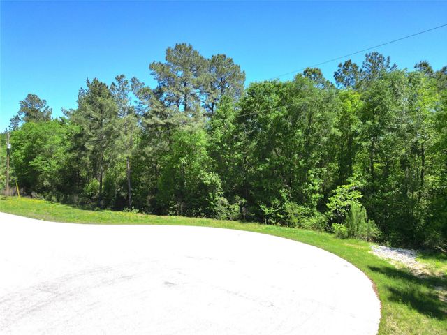 0 Pyrite Court, Huntsville, TX 77340