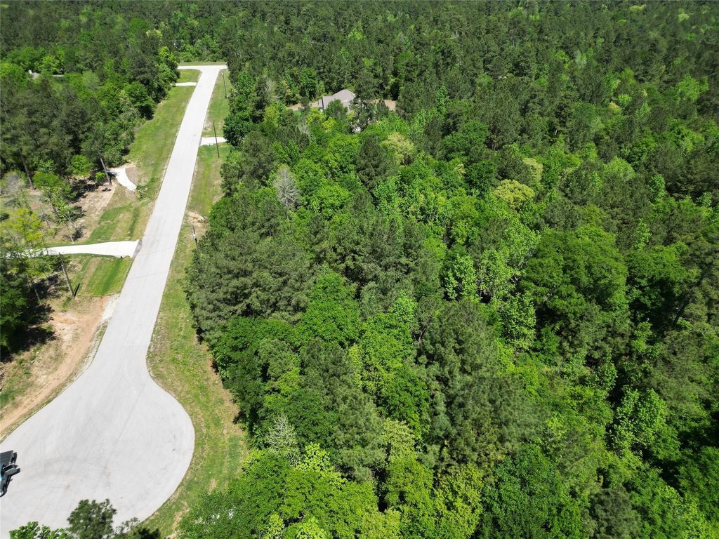 0 Pyrite Court, Huntsville, TX 77340