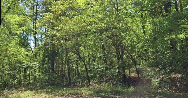Lot 11 Block 2 Heanor Lane, Bella Vista, AR 72714