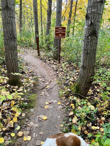 11832 Bren Road, Hopkins, MN 55343