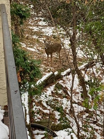 11832 Bren Road, Hopkins, MN 55343