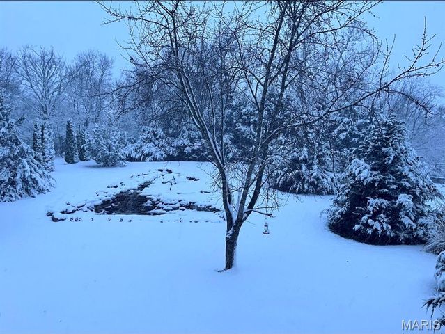 253 Whitetail Crossing Drive, Troy, MO 63379