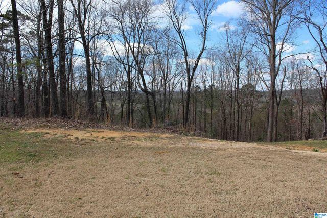 175 RIDGEWOOD LANE, Odenville, AL 35120