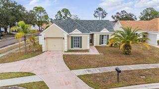 11008 BRIGHTSIDE DRIVE, Tampa, FL 33624