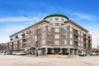 100 S Emerson Street 507, Mount Prospect, IL 60056