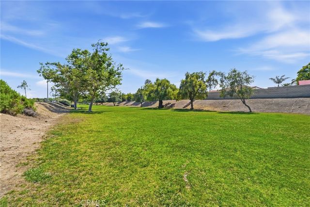 33022 Terrapin Court, San Juan Capistrano, CA 92675