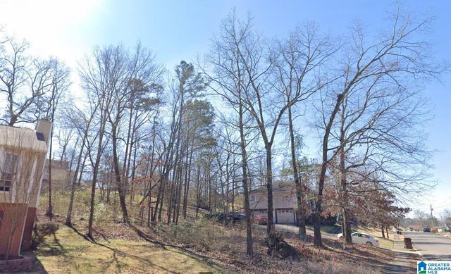 1321 AMERICANA DRIVE, Birmingham, AL 35215