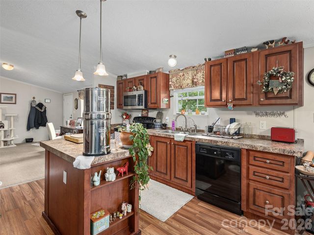 166 Indian Springs Road, Clyde, NC 28721