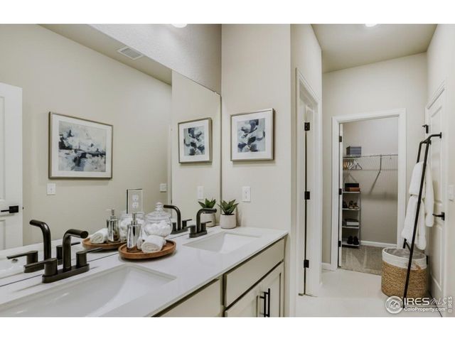 611 Noola St, Windsor, CO 80550