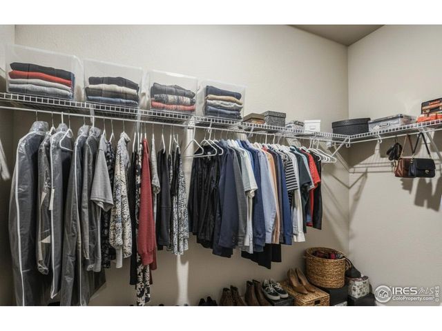 611 Noola St, Windsor, CO 80550