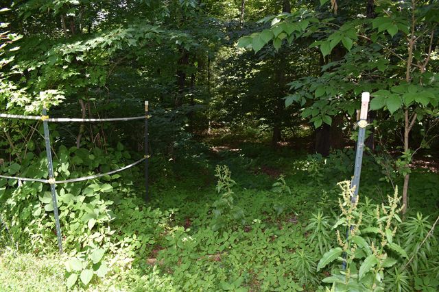 1 Whitneys Grove, Derry, NH 03038