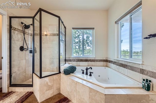 17572 Saddle Ridge Court, Monument, CO 80132