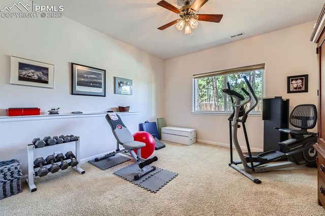 17572 Saddle Ridge Court, Monument, CO 80132