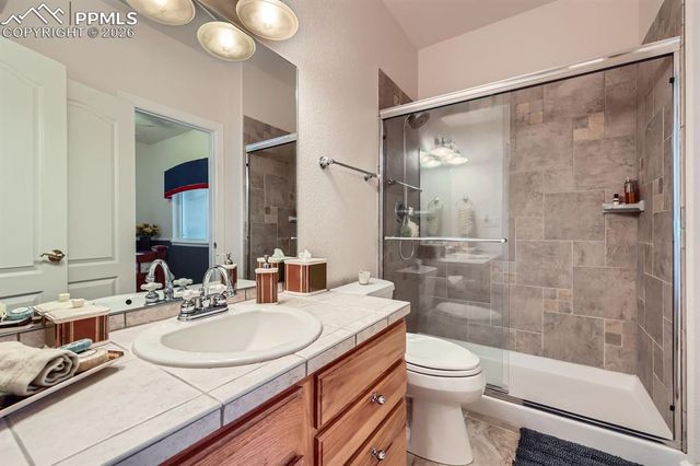 17572 Saddle Ridge Court, Monument, CO 80132