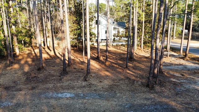 Lot 1 Crissman Road, Santa Rosa Beach, FL 32459