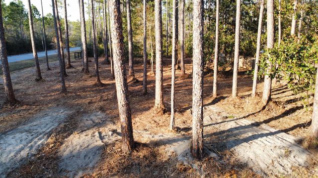 Lot 1 Crissman Road, Santa Rosa Beach, FL 32459