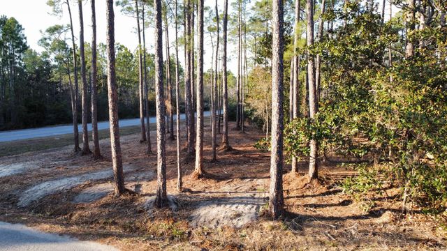 Lot 1 Crissman Road, Santa Rosa Beach, FL 32459