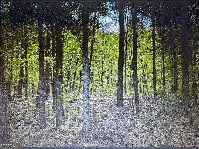 1358 Hunter Drive, Ranger, GA 30734