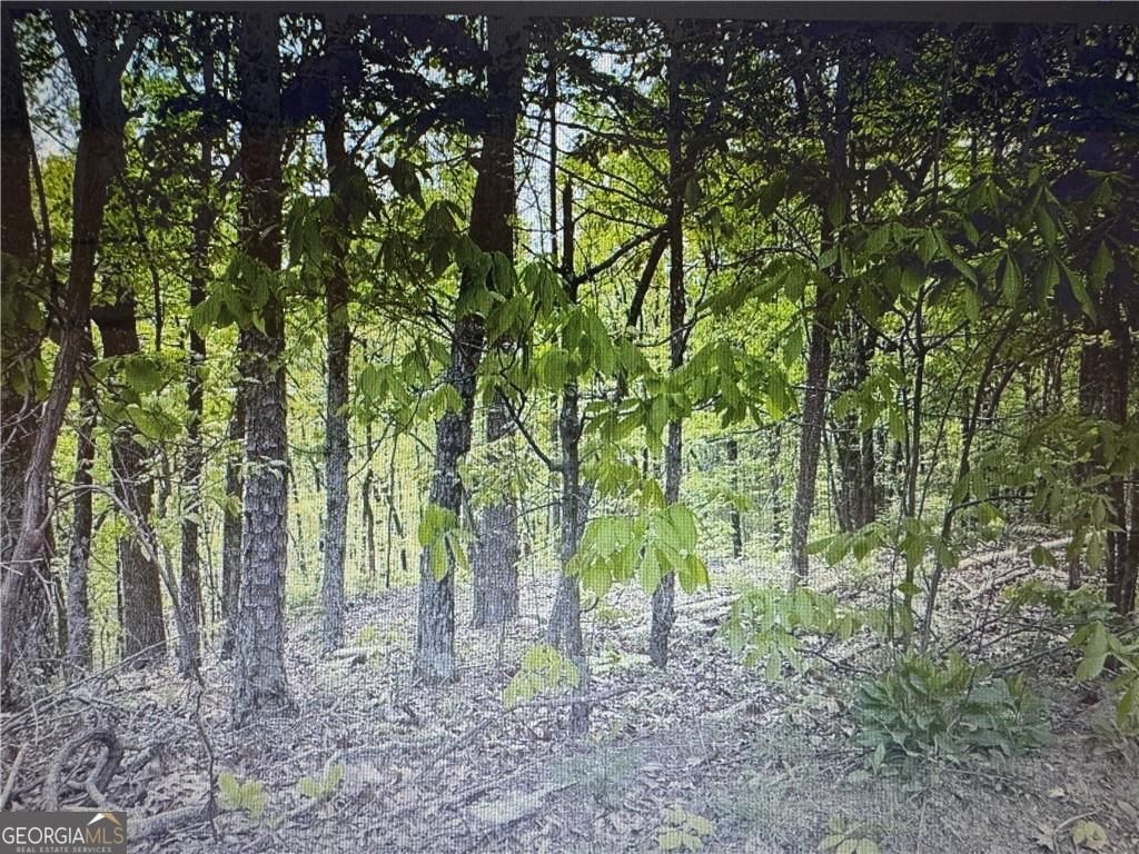 1358 Hunter Drive, Ranger, GA 30734