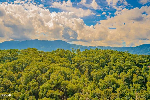 859 Sourwood Drive, Gatlinburg, TN 37738