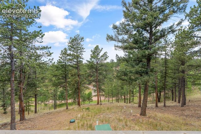 319 Maroon Lake Circle, Divide, CO 80814
