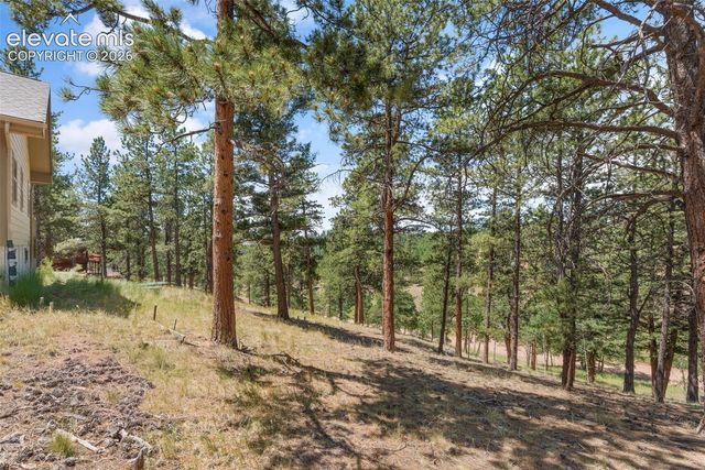 319 Maroon Lake Circle, Divide, CO 80814