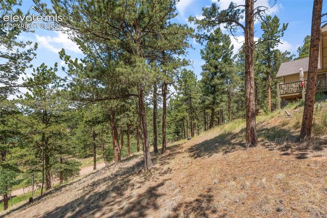 319 Maroon Lake Circle, Divide, CO 80814