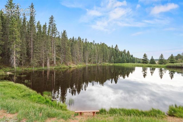 319 Maroon Lake Circle, Divide, CO 80814