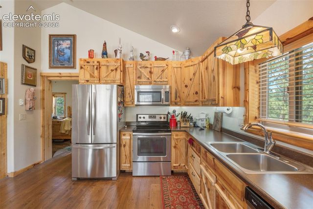 319 Maroon Lake Circle, Divide, CO 80814