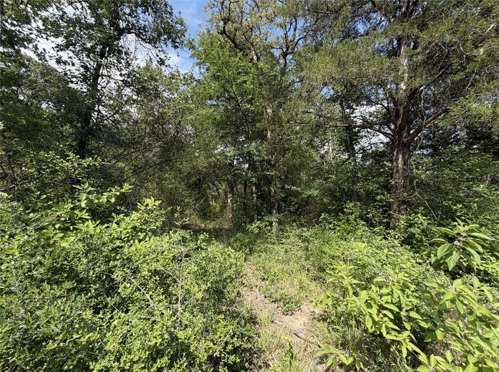 TBD Sawmill Rd, Franklin, TX 77837 — photo 4