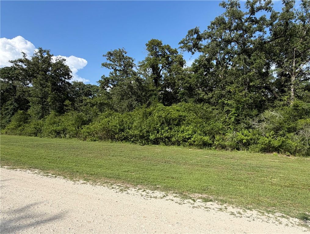 TBD Sawmill Rd, Franklin, TX 77837 — photo 5