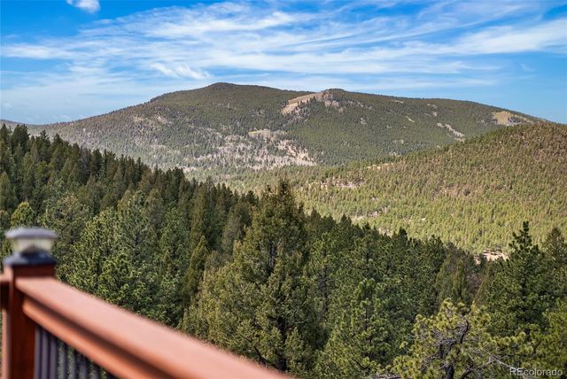461 Hitchrack Road, Bailey, CO 80421