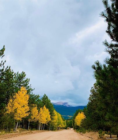 461 Hitchrack Road, Bailey, CO 80421