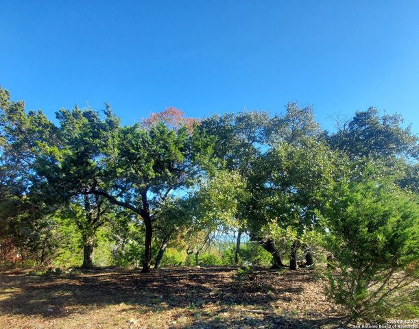 152 Mountainview Dr, Canyon Lake, TX 78133