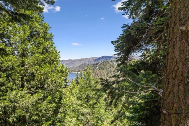 24702 Nestal Court, Crestline, CA 92325