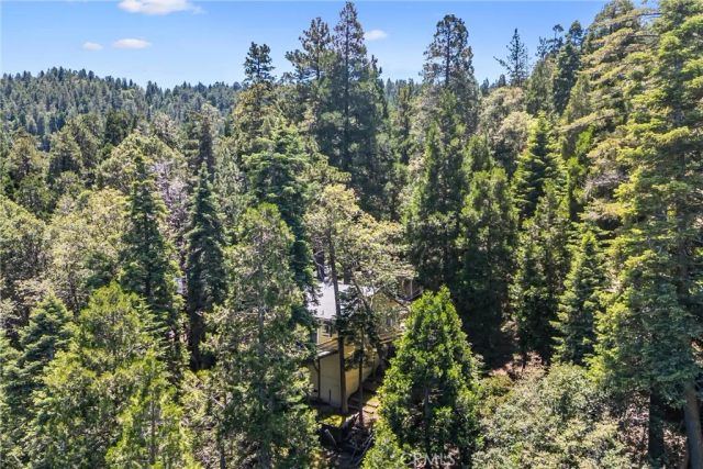 24702 Nestal Court, Crestline, CA 92325